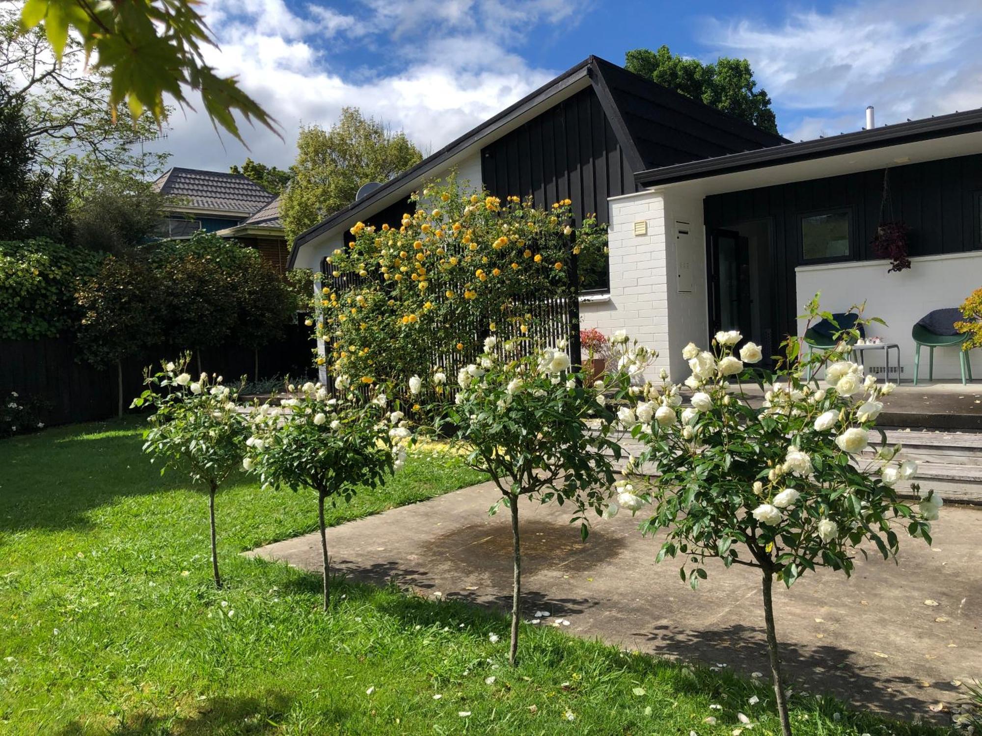 Fashion,Bright And Spacious,Superior Location Hamilton Exteriör bild